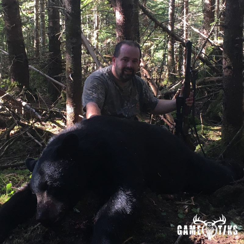 bear harvest by Bob Simard