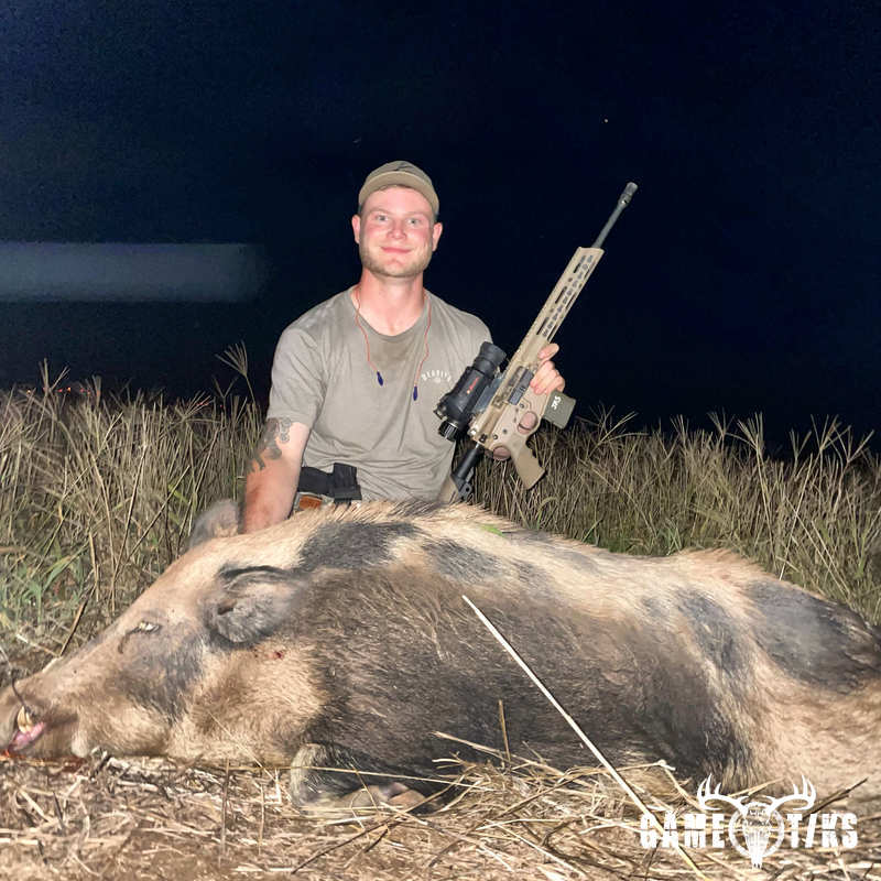 boar harvest by Western archer