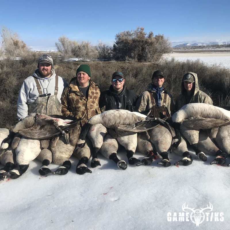 waterfowl harvest by Western archer