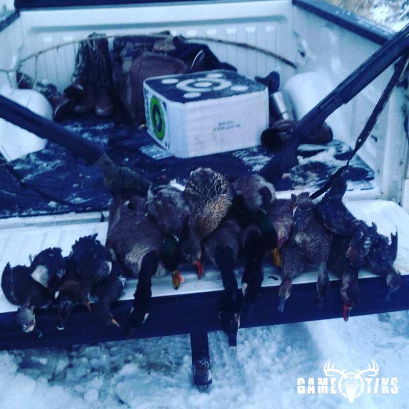 waterfowl harvest by Western archer
