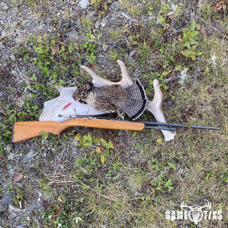 upland_bird harvest by John Gibbs