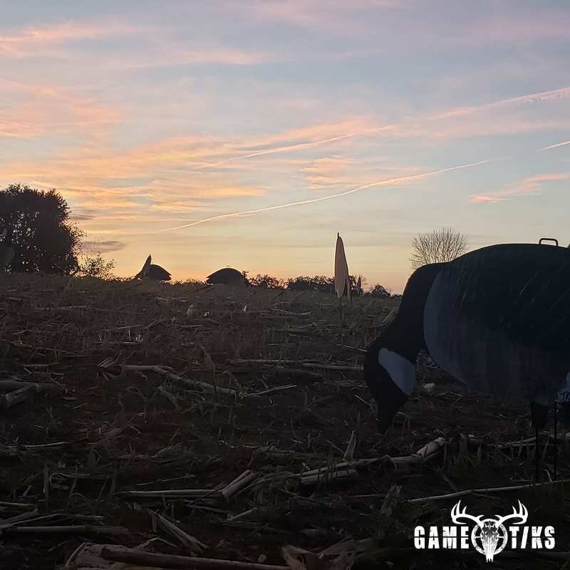 waterfowl harvest by The RiverRats Waterfowl Hunting