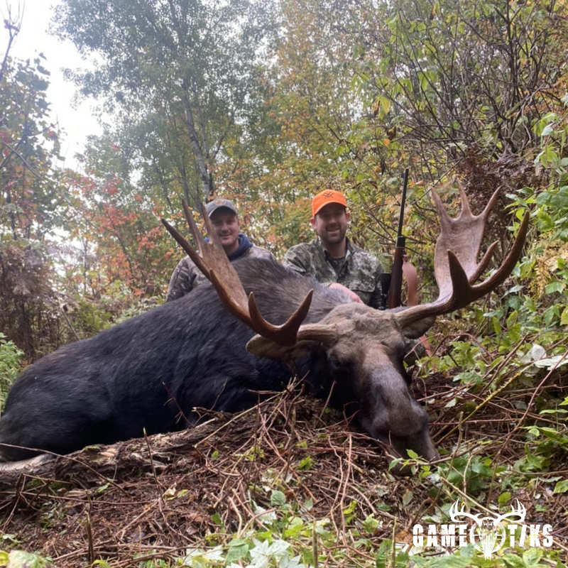 moose harvest by Marsh River Outfitters