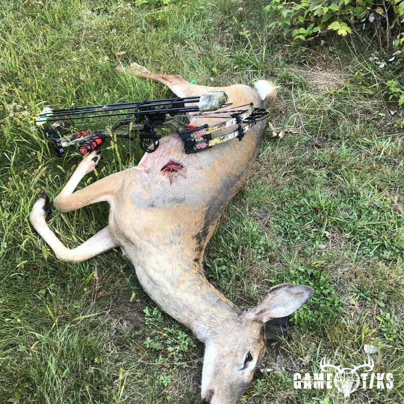 deer harvest by Sam Ray