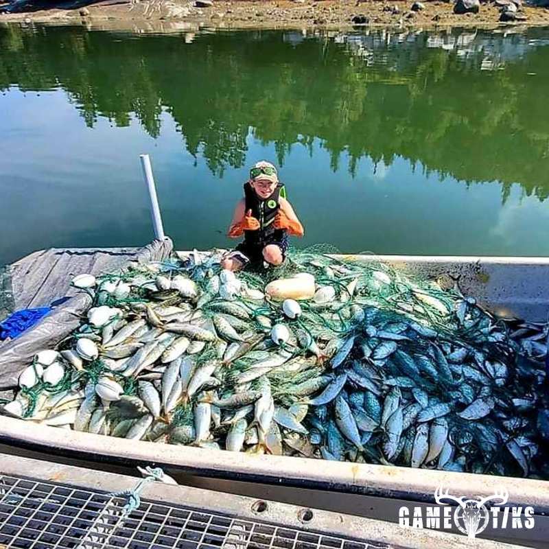 fish harvest by Alex larrabee