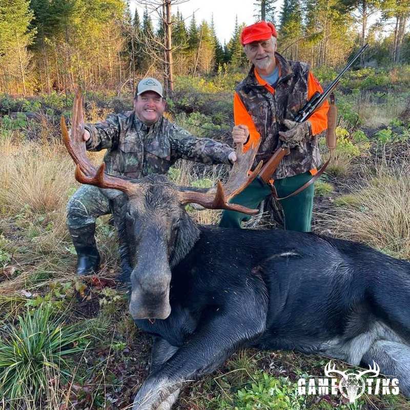 moose harvest by Operation ReBoot Outdoors