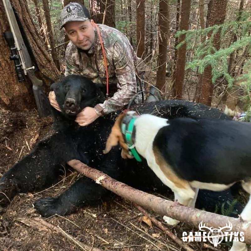 bear harvest by Operation ReBoot Outdoors