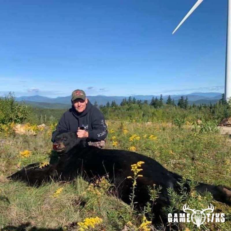 bear harvest by Operation ReBoot Outdoors