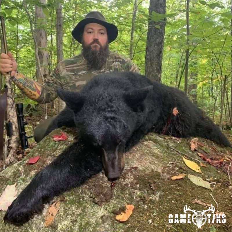 bear harvest by Operation ReBoot Outdoors