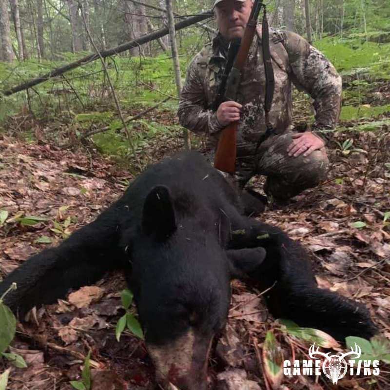 bear harvest by Operation ReBoot Outdoors