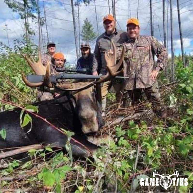 moose harvest by Kenneth R Blaisdell