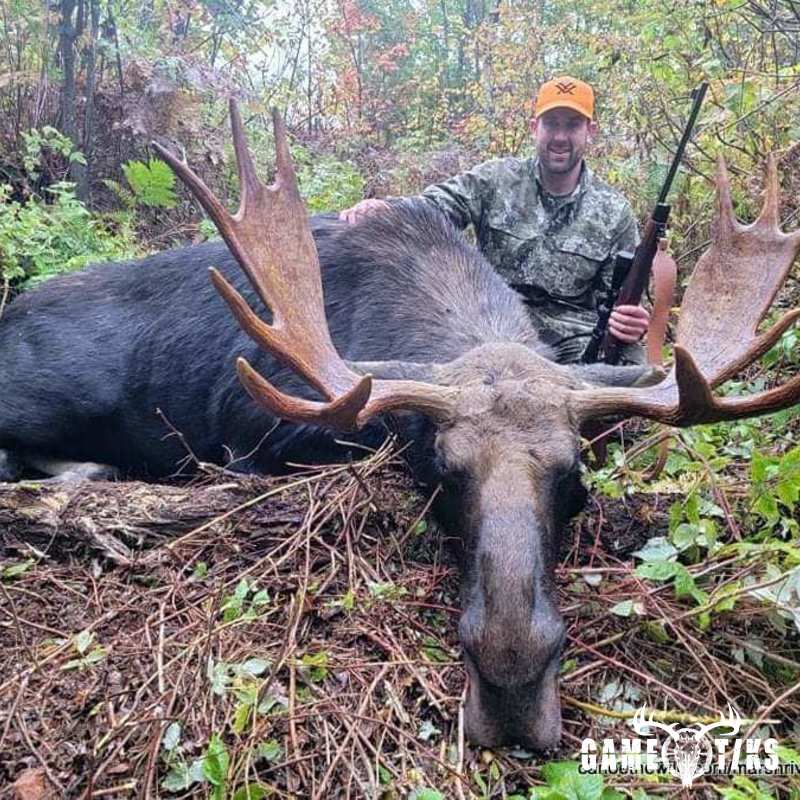 moose harvest by Riley Clugston