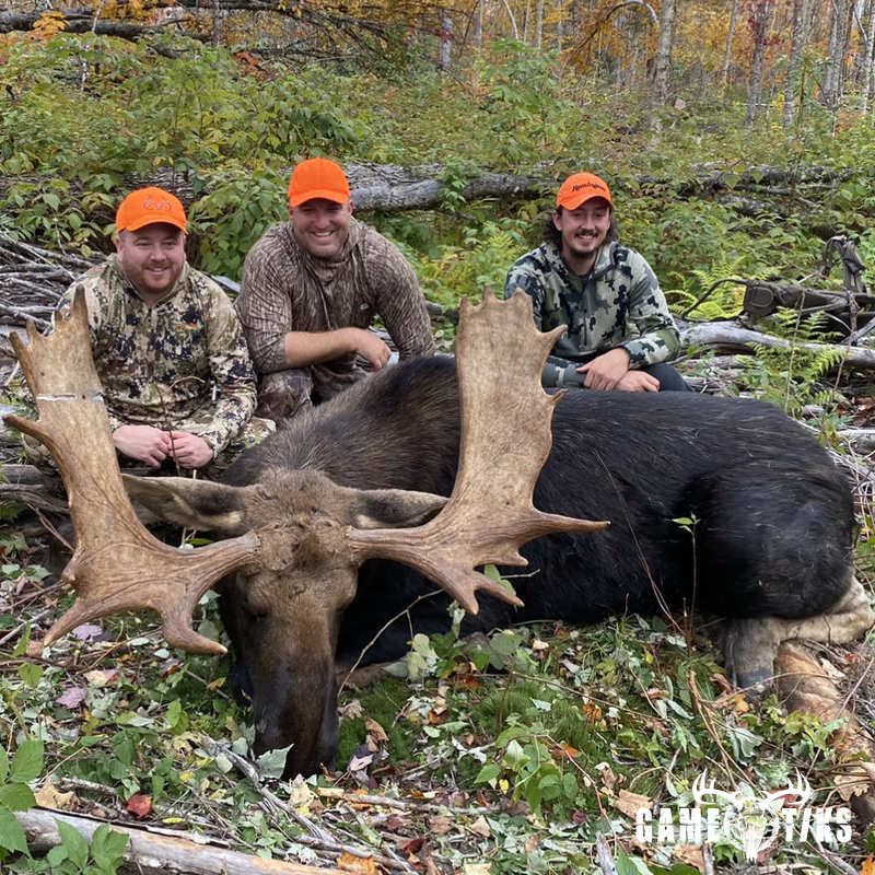 moose harvest by Marsh River Outfitters