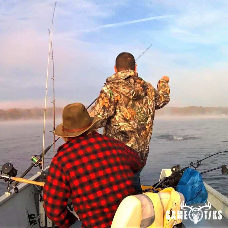 fish harvest by Matt Laite