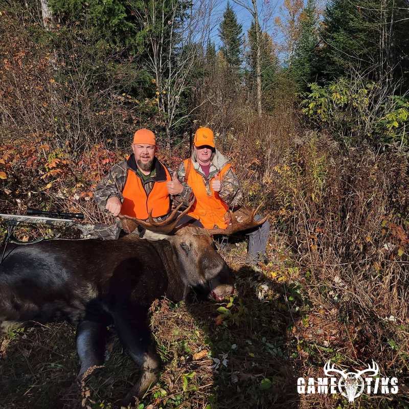 moose harvest by Northeast Wilderness Outfitters
