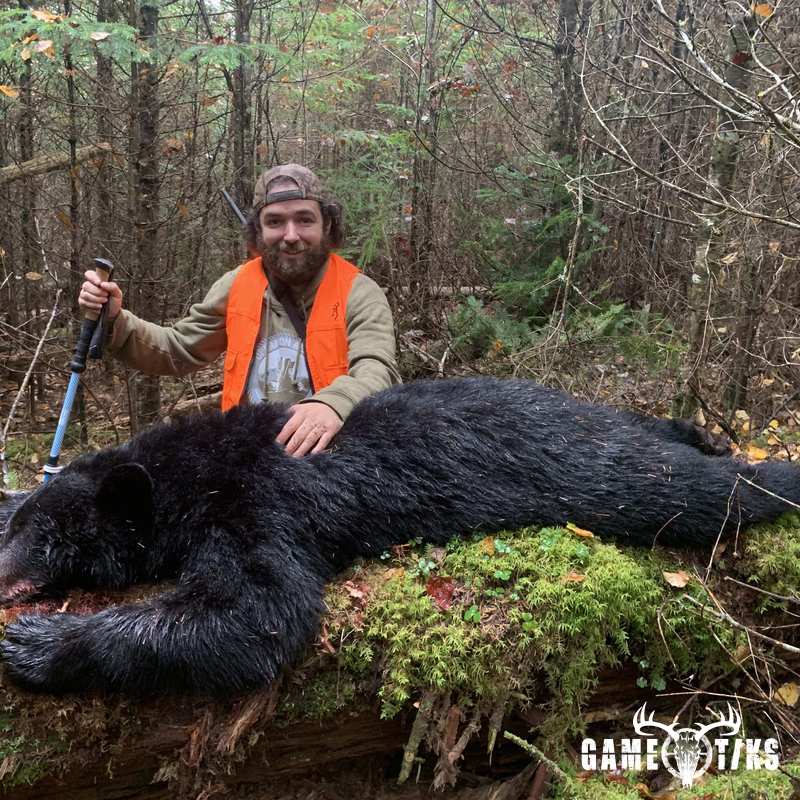bear harvest by Operation ReBoot Outdoors