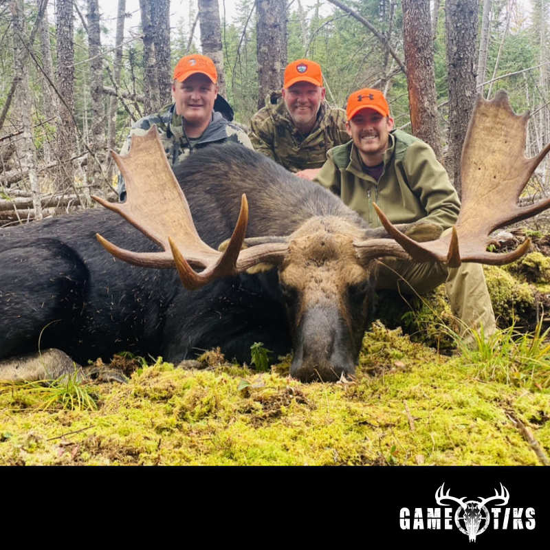 moose harvest by Marsh River Outfitters