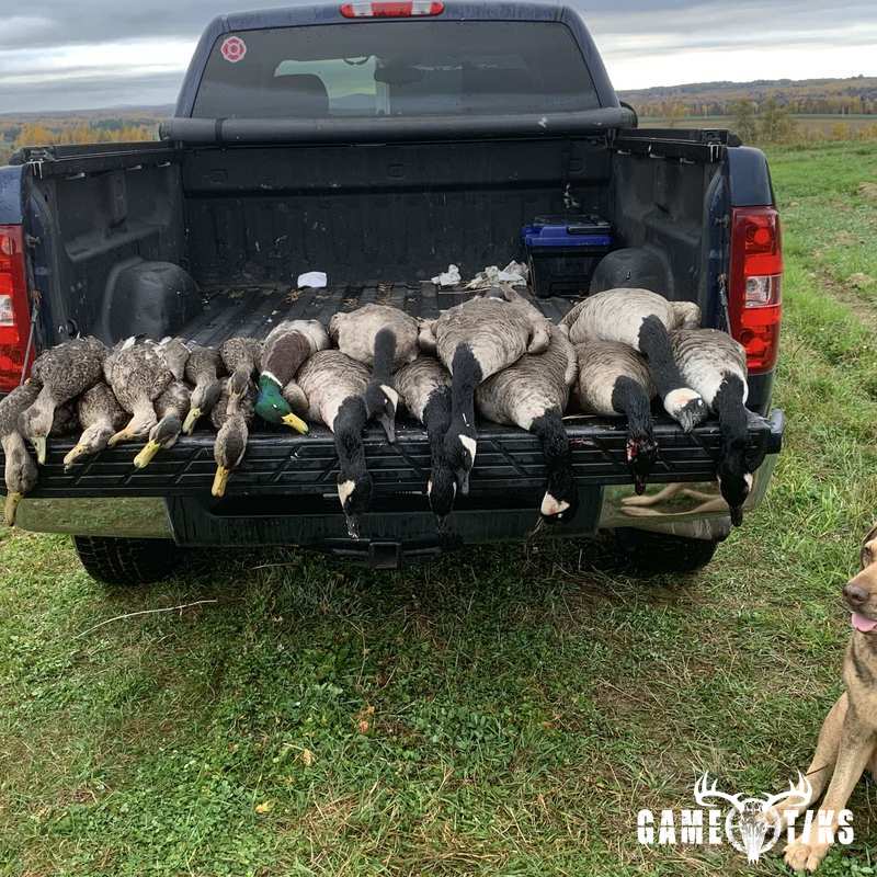 waterfowl harvest by Troy