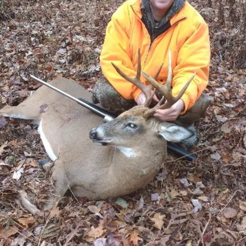 deer harvest by Brad Cullivan