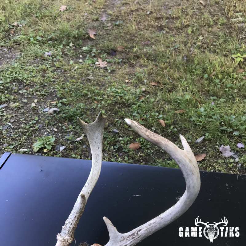 deer harvest by Sam Ray