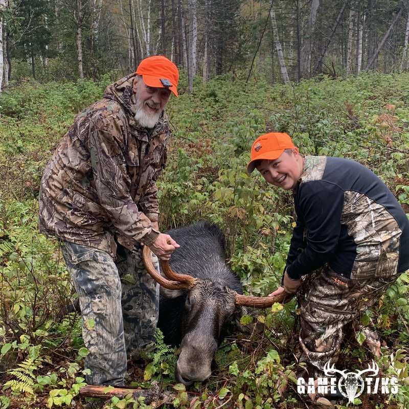 moose harvest by Troy
