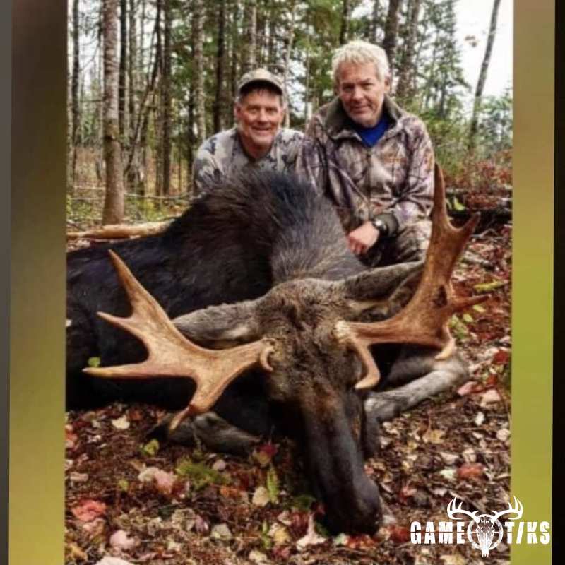moose harvest by Marsh River Outfitters