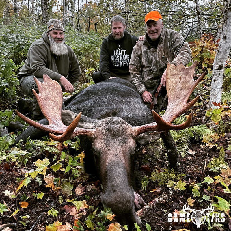 moose harvest by Maine Experience Guide Service