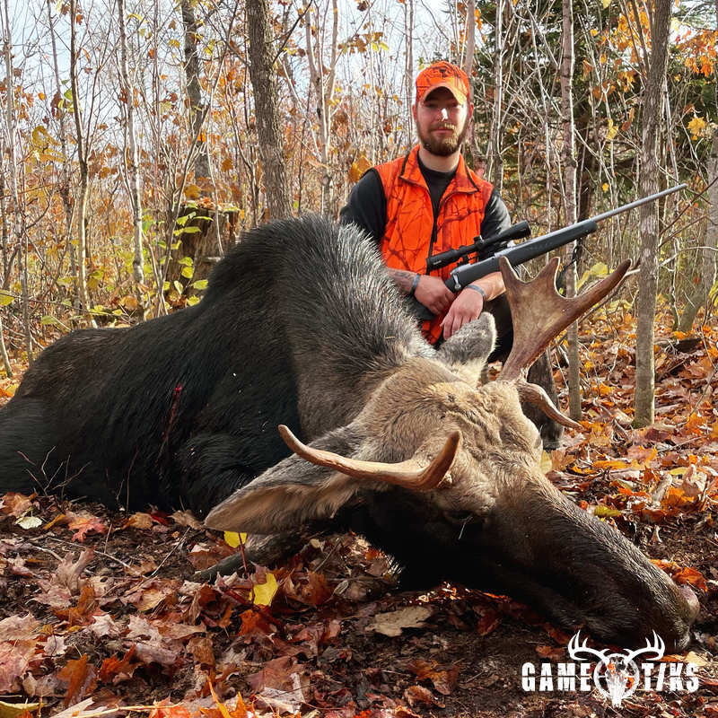 moose harvest by Maine Experience Guide Service