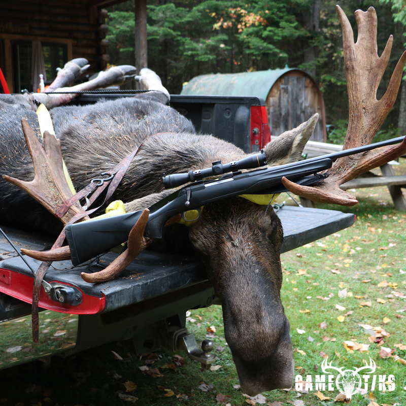 moose harvest by Jonah O'Roak