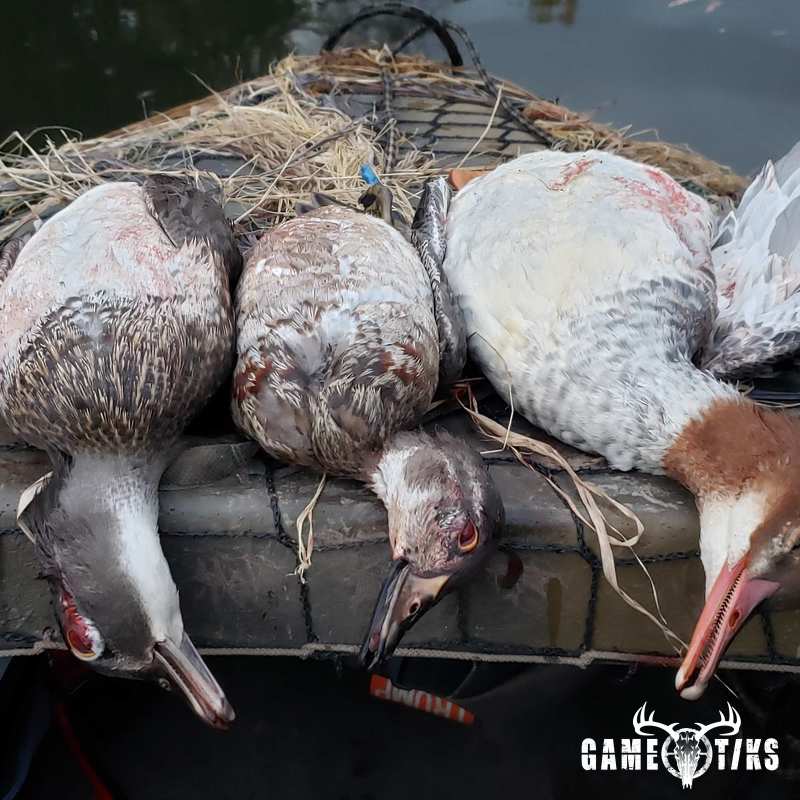 waterfowl harvest by The RiverRats Waterfowl Hunting