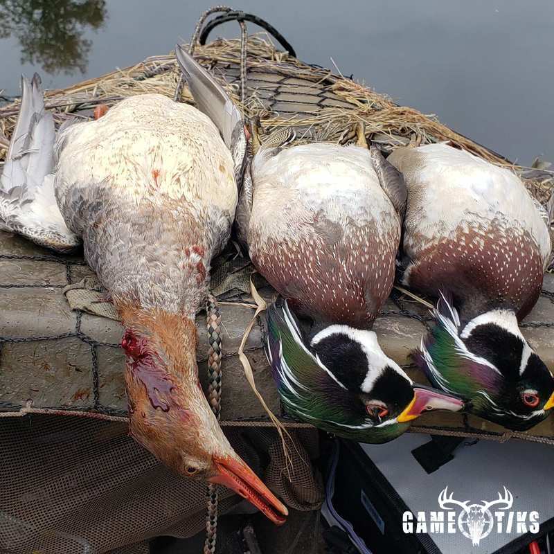 waterfowl harvest by The RiverRats Waterfowl Hunting