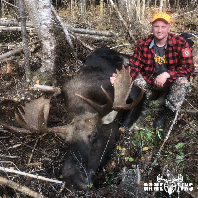 moose harvest by Brody Gibbs