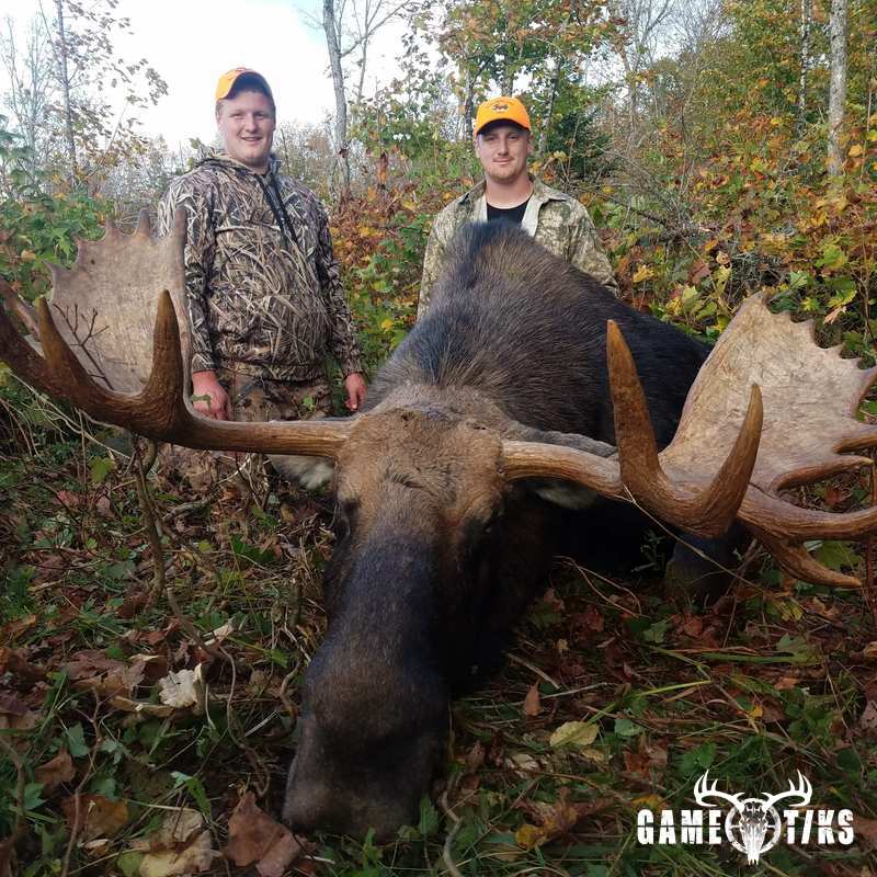 moose harvest by Brody Gibbs
