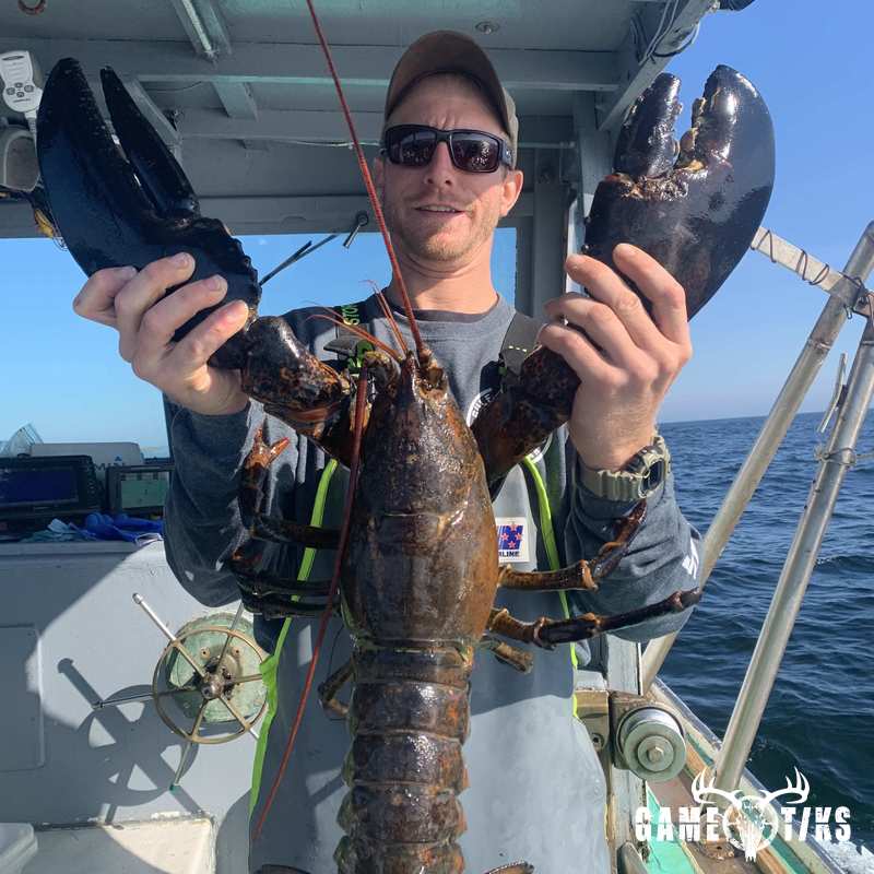 gator harvest by Chum Again Charters
