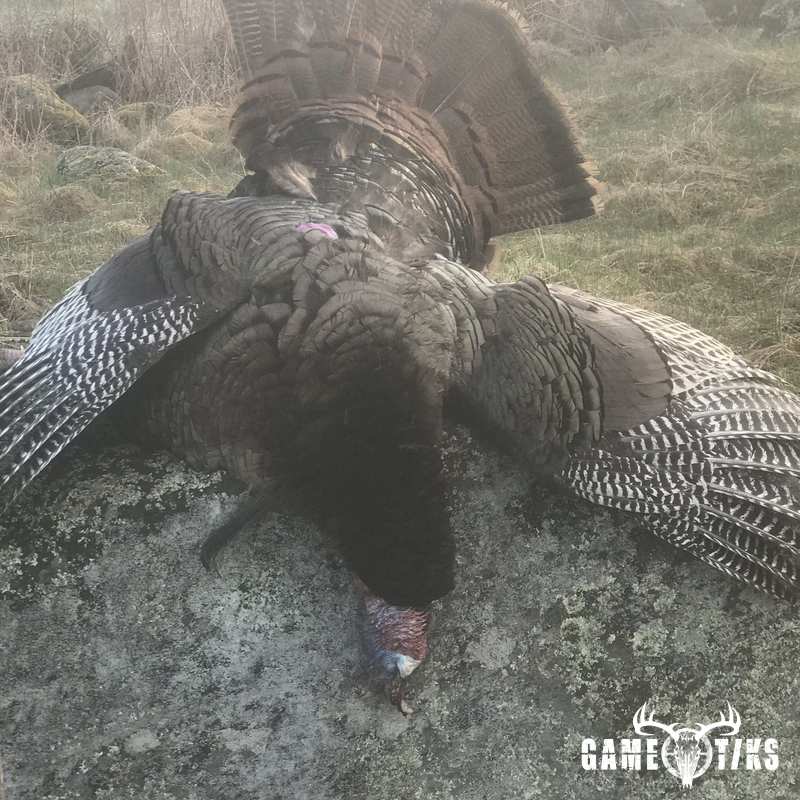turkey harvest by Erik Gagnon