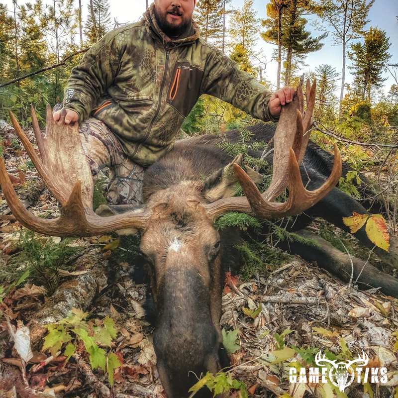 moose harvest by Dan Love