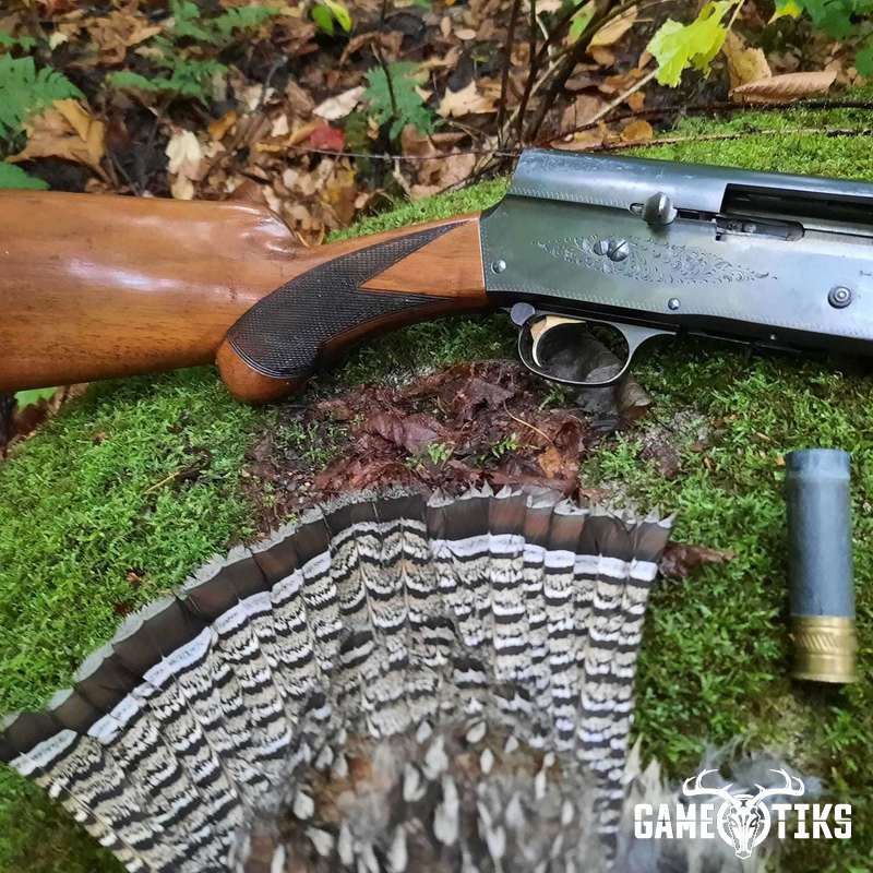 upland_bird harvest by Troy Fields, Traditions Guide Service