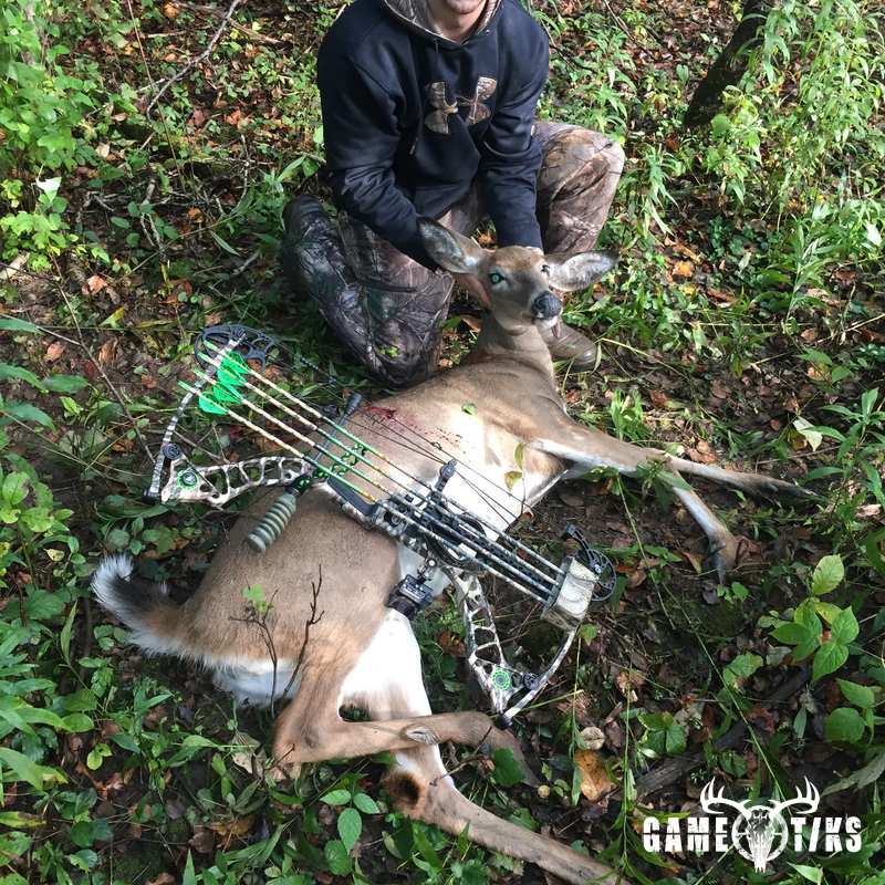 deer harvest by Zachary Shedyak