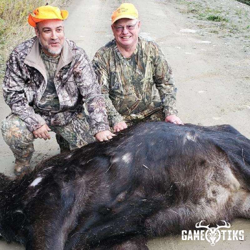 moose harvest by Paul M. Lawrence