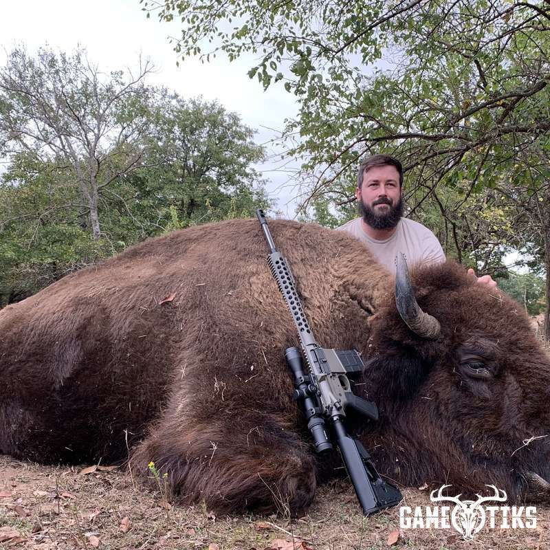 buffalo harvest by Black Mountain Hunts LLC