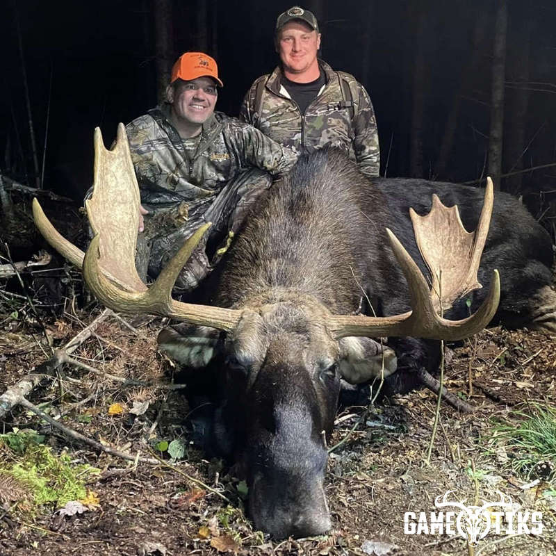 moose harvest by Marsh River Outfitters