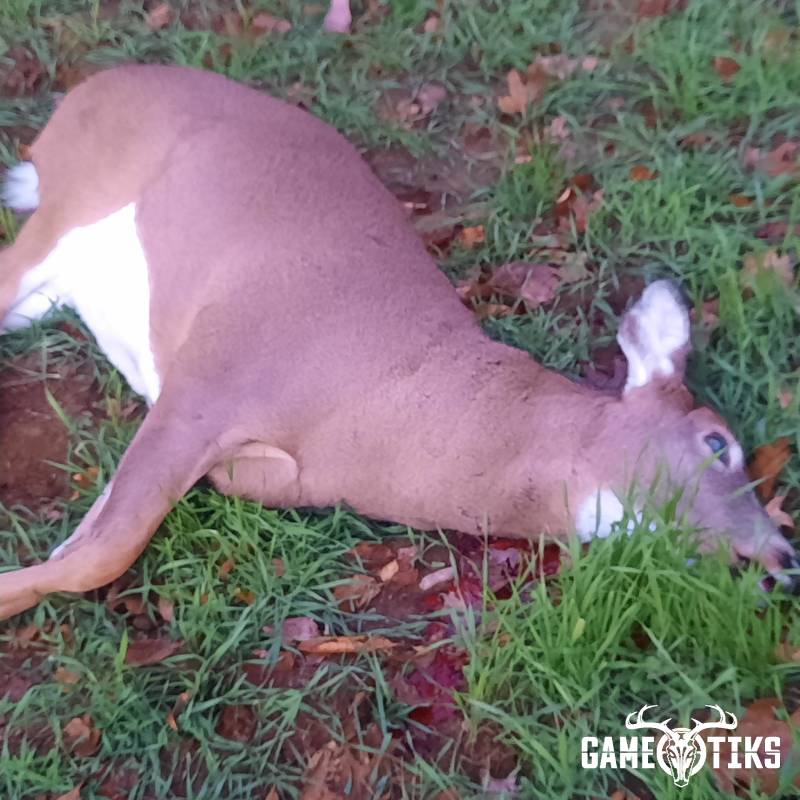 deer harvest by Brock A Leavitt