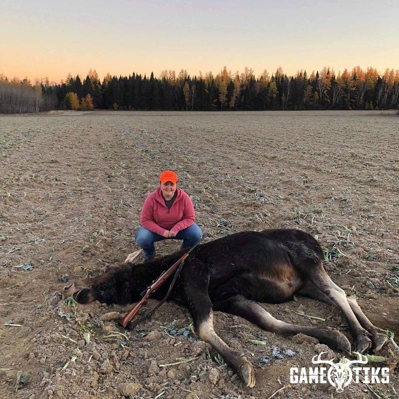 moose harvest by Kimberly Crommett