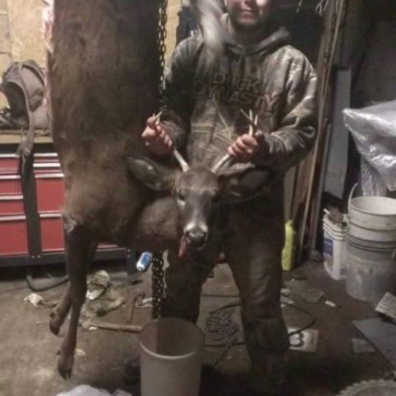 deer harvest by Bradley Foss