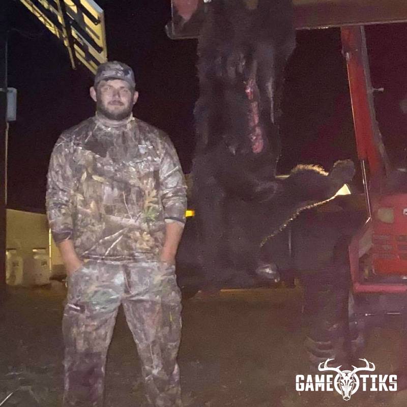 bear harvest by Wyatt Roberts