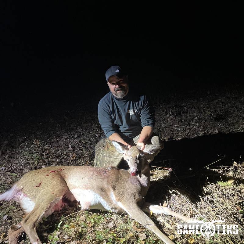 deer harvest by Alan Blood