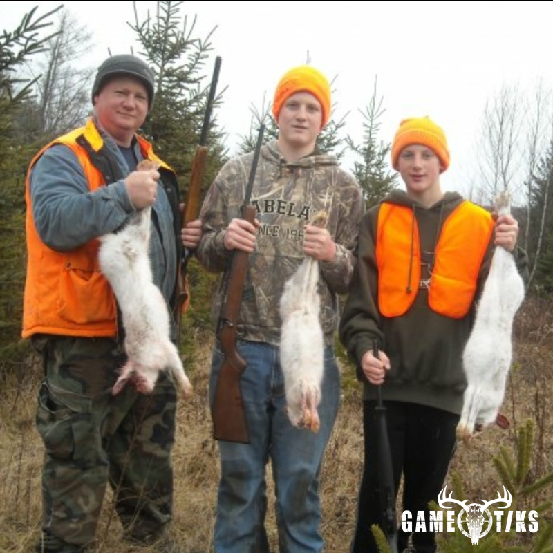 rabbit harvest by John Gibbs