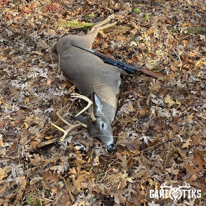 deer harvest by Dennis Giroux