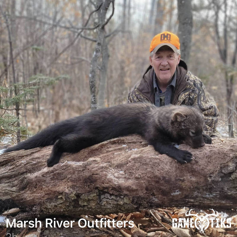 miscellaneous harvest by Marsh River Outfitters