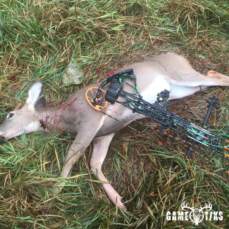 deer harvest by Chad Overlock